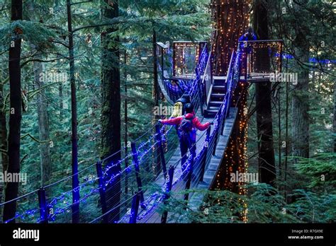 Treetops Adventure And Canyon Lights Capilano Suspension Bridge Park