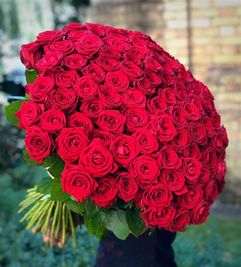 Our valentine's day flowers are delivered inside beautiful flowers for everyone signature presentation boxes, with special water packs inserted onto the base of each rose stem to keep them fresh while on the road. Top 5 most romantic flowers for Valentines day 2020