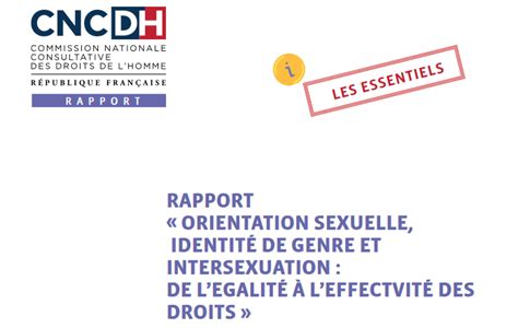 rapport orientation sexuelle identité de genre intersexuation de l égalité à l effectivité