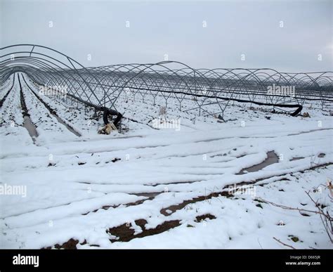 Farm Tunnels In Snow Stock Photo Alamy