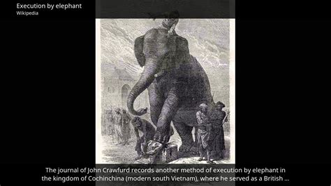 Execution By Elephant Wikipedia Youtube
