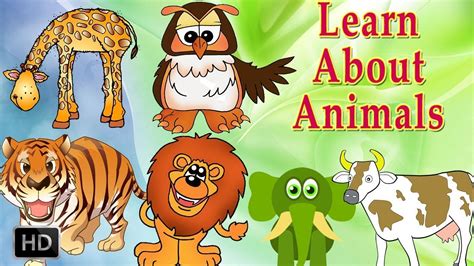 Learn Wild Animals For Kids And Many More Kids Learning Videos Youtube