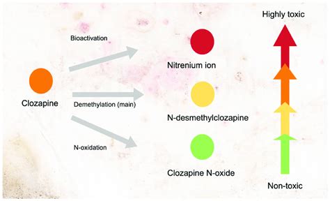 Metabolism Of Clozapine Into Metabolites And Its Cytotoxicity Levels