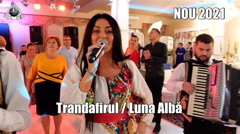 Download Formatia Iulian De La Vrancea Trandafirul X Luna Alba Live