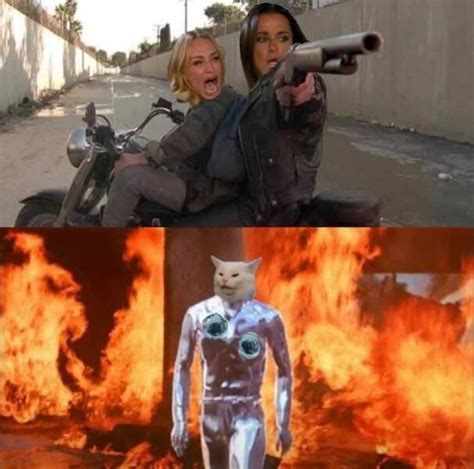 Terminator Memes 44 Pics