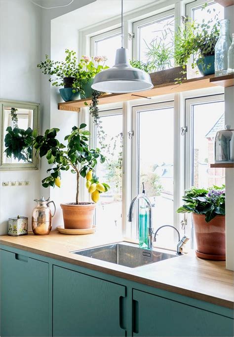 Make sure you haven't made any of these missteps. Window Plant Shelf Ideas and Inspiration | Hunker