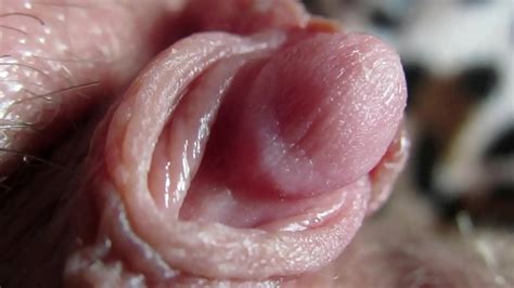 Extreme Close Up On My Huge Clit Head Pulsating XVIDEOS