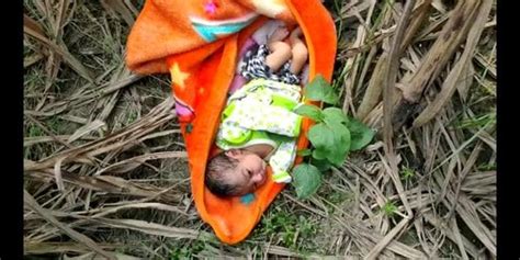 Newborn Girl Found Abandoned In Cane Field Hindustan Times