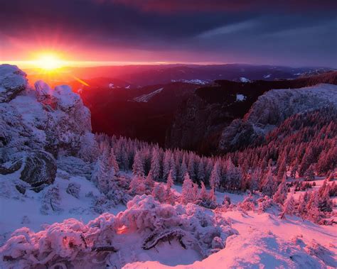 Wallpaper Alps Mountains Snow Trees Winter Sunrise 1920x1200 Hd