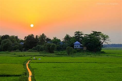 Bangladesh Indexphp Landscape