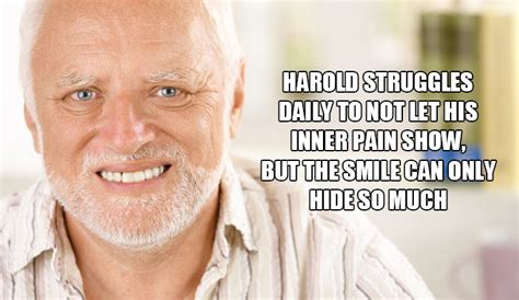 Meet Hide The Pain Harold