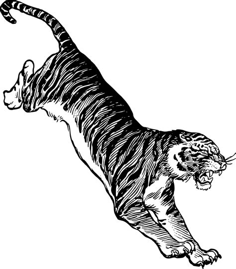 Onlinelabels Clip Art Jumping Tiger