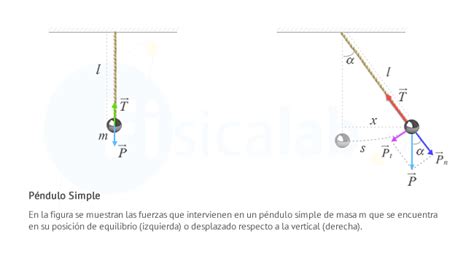 Movimiento Armónico Simple En Péndulos