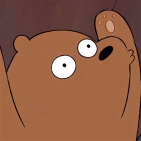View 18 Cute Cartoon Matching Pfp We Bare Bears Quoteqshall