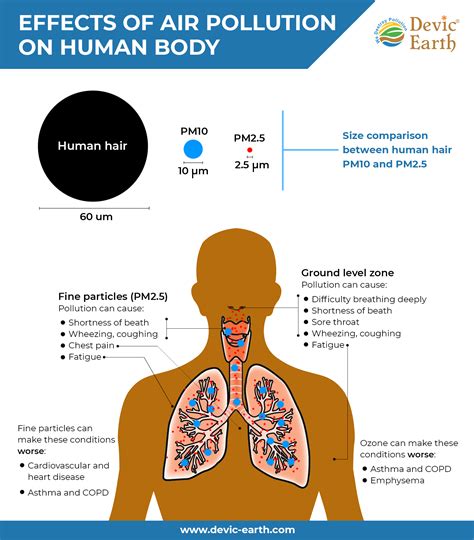 difference between body and matter - micompaniateatro.com