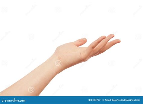 Asking Human Hand Isolated On White Stock Image Image Of Catch