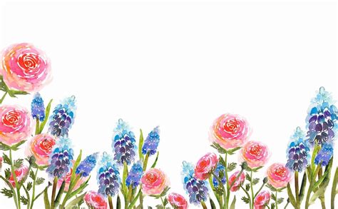 Flower Watercolor Wallpapers Top Free Flower Watercolor Backgrounds