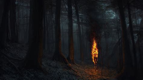 Dark Forest 1920×1080 Hd Wallpapers