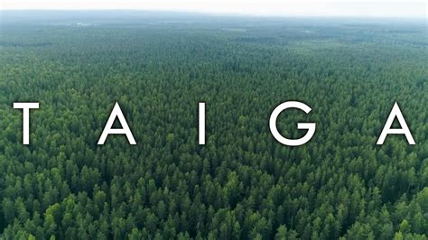 The Taiga Biome Boreal Forest Biomes 7