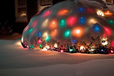 Snow Covered Christmas Lights Pictures Photos And Images For Facebook