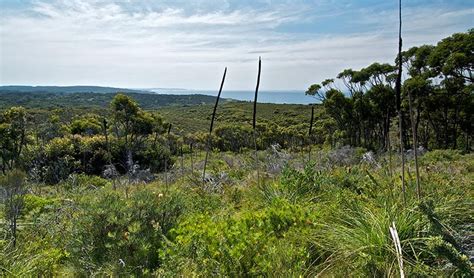 Munmorah State Conservation Area Learn More Nsw National Parks