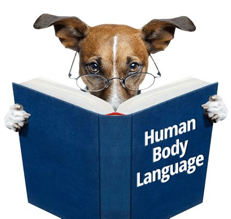Do Dogs Understand Human Body Language