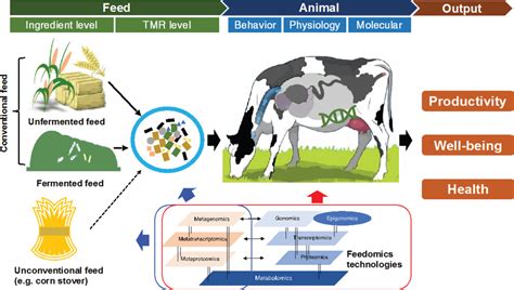 Invited Review Advances And Challenges In Application Of Feedomics To