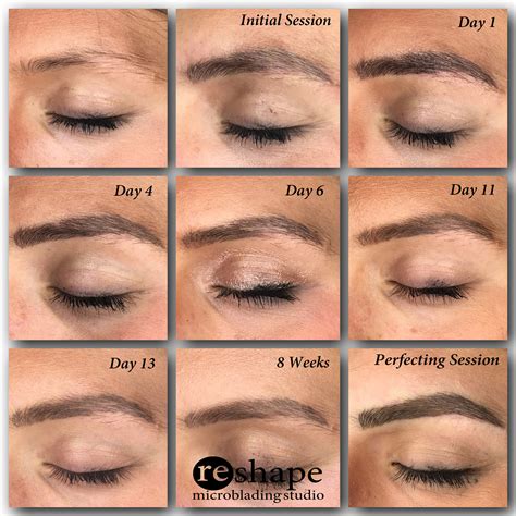 Microblading Aftercare After Touch Up Microblading Experience Before