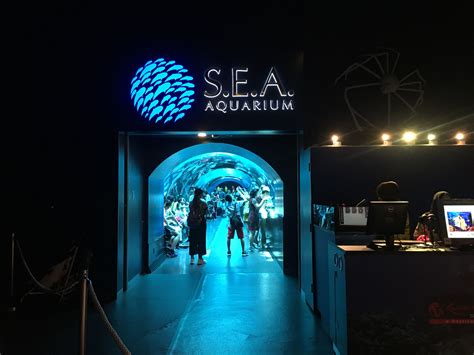 Sea Aquarium Sentosaisland Singapore 🇸🇬 Sea Aquarium Singapore