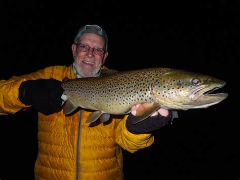 Night Fishing For Trout Mousing For Trout Michigan Trout Fishing