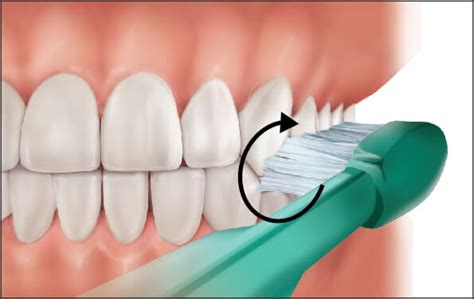 Tooth Brushing Techniques News Dentagama