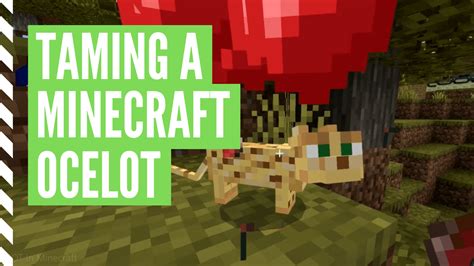 How To Tame An Ocelot In Minecraft Tutorial