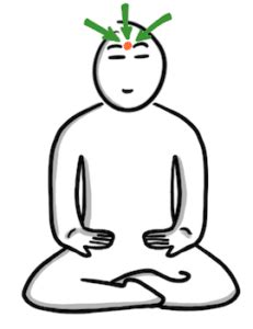 Méditation le guide essentiel Que faire concrètement pour méditer BLOCULUS