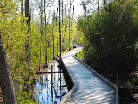 Goose Creek State Park National Parks Natural World North Carolina