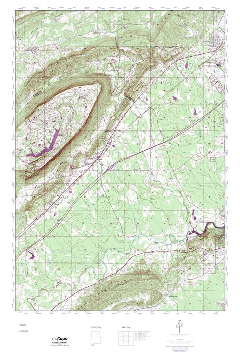 Mytopo Steele Alabama Usgs Quad Topo Map
