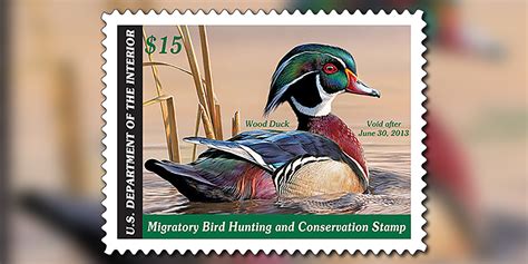 Artists Wanted For California Duck Stamp Art Contest • Atascadero News