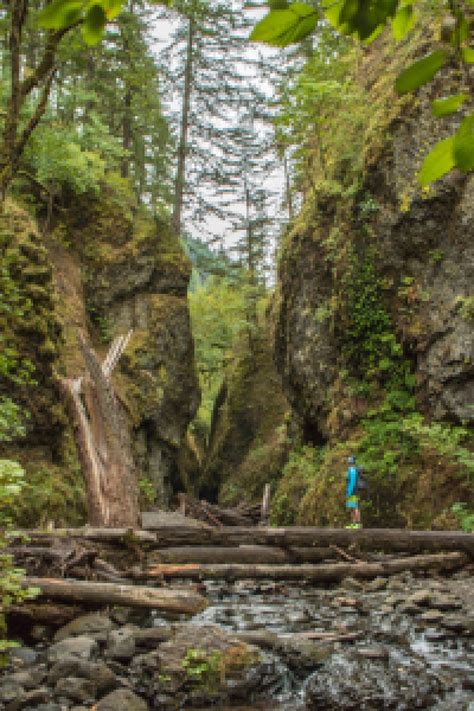 Everything You Need To Know About The Oneonta Gorge Hike Elite Jetsetter