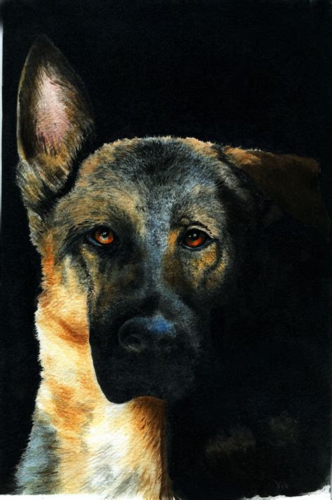 German Shepherd Watercolor Art Jane Mcmaster Art Dog Art Watercolor