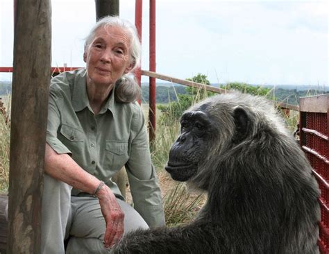 The story of one remarkable woman who became a global icon in animal welfare and conservation who not only hoped for a better world, she achieved it! Jane Goodall became a champion for chimpanzees. It started ...