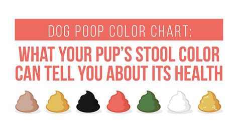Use Our Healthy Dog Poop Chart To Discover If Your Dogs Poop Is Healthy
