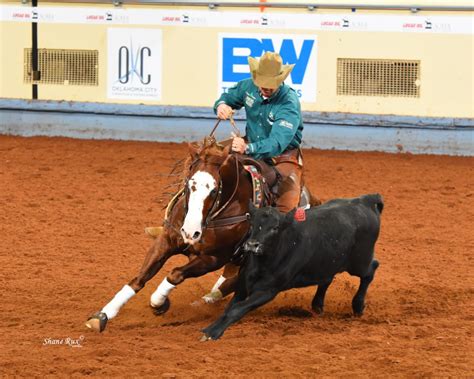 Working Cow Horses Steal Spotlight At Aqha World Show Quarter Horse News