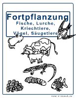 Aber handelt es sich dabei um eine pflichtunterlage? Deckblatt Physik Optik