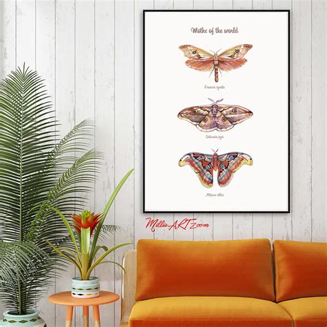 Poster For The Nursery 3 Moths Of The World Bio Education Etsy