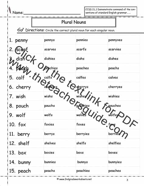 Singular and Plural Nouns Worksheets