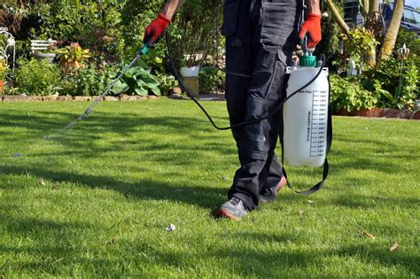 Spraying Pesticide With Portable Sprayer To Eradicate Garden Weeds In