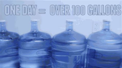 How many pints of water are in the pail? How Much Water Do You Use In A Day?