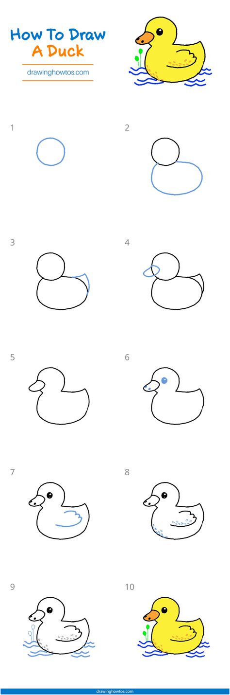 There are most easy animations to show you how to draw cartoons; How to Draw a Duck - Step by Step Easy Drawing Guides - Drawing Howtos