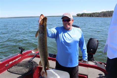 Types of fish found in devil's lake; Monday Weekly Fishing Report #7 - Devils Lake Fishing Report