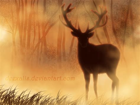 Deer In The Mist By Deexalis On Deviantart