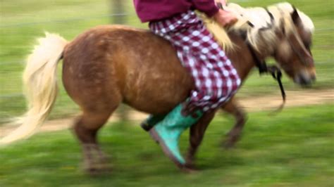 Shetland Pony Bucking Youtube